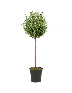Decorative Artificial Rosmarin Plant