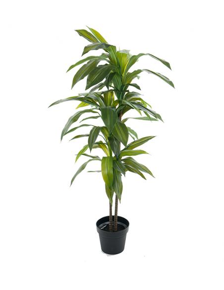 Dracaena Decorative Artificial Tree