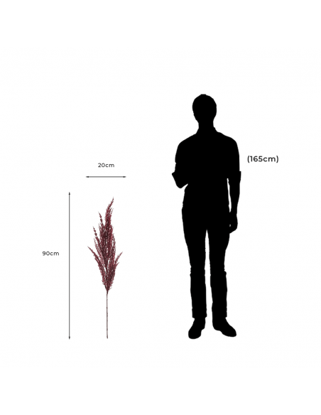 Measurements and proportion of Pampasgräs Decorative Artificial Dried Flower