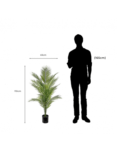 Measurements and proportion of Bergspalm Decorative Artificial Palm Tree