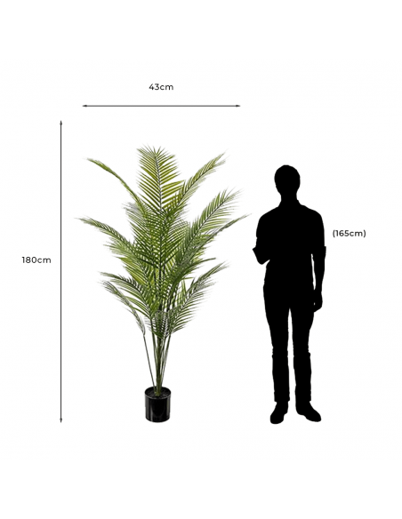 Measurements and proportion of Bergspalm Decorative Artificial Palm Tree