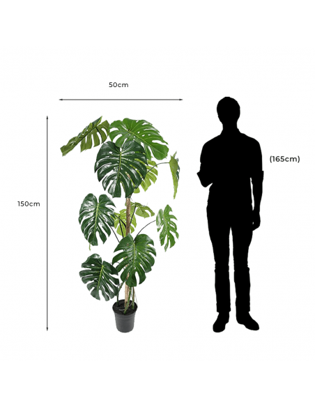 Measurements and proportion of Decorative Artificial Monstera Plant