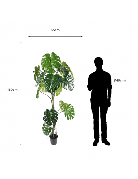 Measurements and proportion of Decorative Artificial Monstera Plant