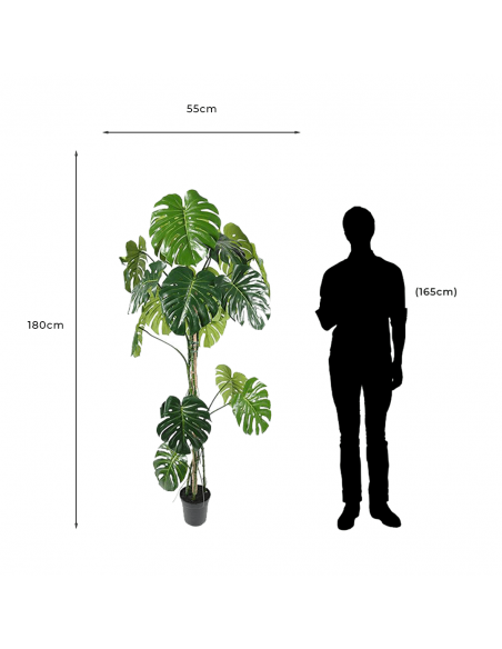 Medidas y proporción de Planta Artificial Decorativa Monstera