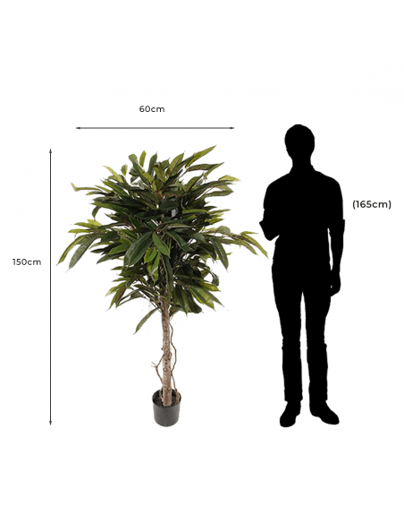 Medidas y proporción de árbol Artificial Decorativo Longifolia