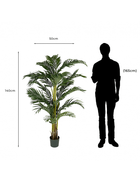 Medidas y proporción de Palmera Artificial Decorativa Kentia Palm