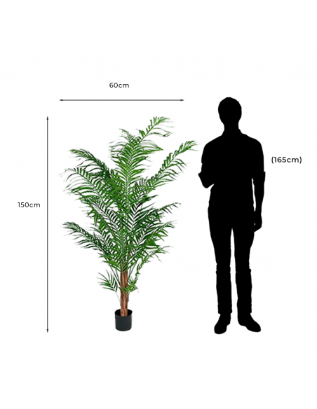 Measures and proportion of Measures and proportion of