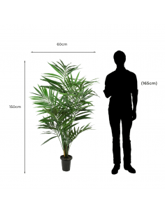 Kentia Palm Decorative Artificial Palm 2