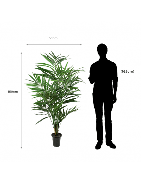 Medidas y proporción de Palmera Artificial Decorativa Kentia Palm