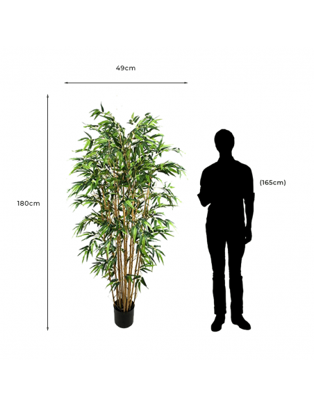 Medidas y proporción de Bambú Artificial Decorativo Bambu