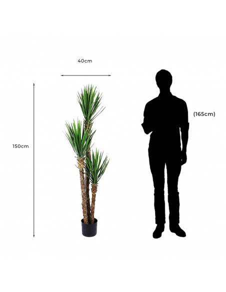 Medidas y proporción de Árbol Artificial Decorativo Yucca Rostrata