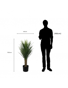 Árbol Artificial Decorativo Yucca Rostrata 2