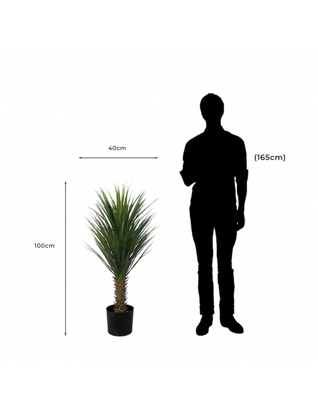 Medidas y proporción de Árbol Artificial Decorativo Yucca Rostrata