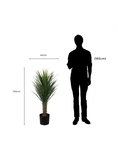 Measurements and proportion of Decorative Artificial Tree Yucca Rostrata