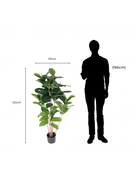 Measurements and proportion of Decorative Artificial Tree Fikus Robusta