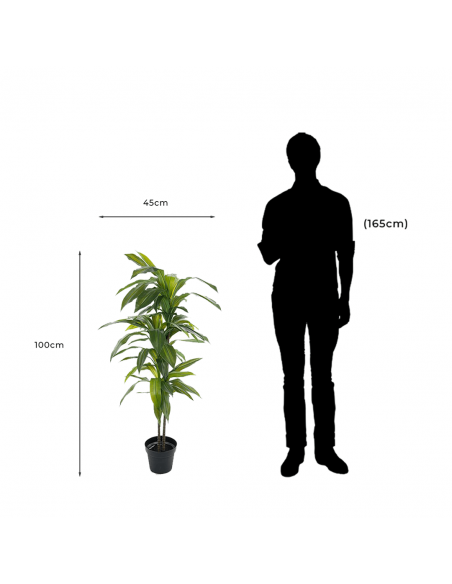 Measurements and proportion of Dracaena Decorative Artificial Tree