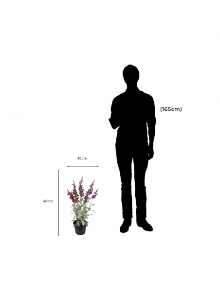 Medidas y proporción de Planta Artificial Decorativa Veronica