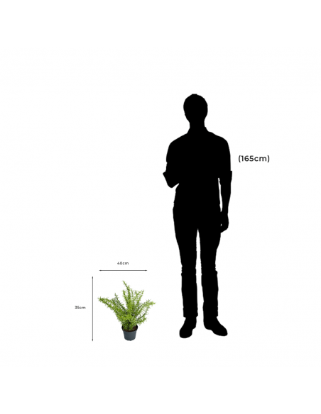Measurements and proportion of Decorative Artificial Eucalyptus Plant