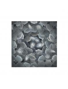 Photo 120x120 - SCHULLER...