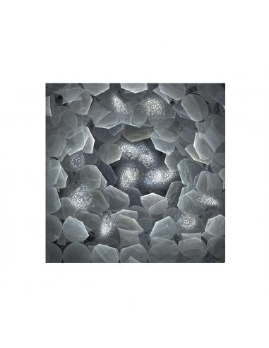 Photo 120x120 - SCHULLER Polaris