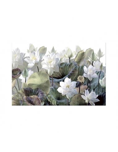 Photo 150x100 - SCHULLER Water Lilies I