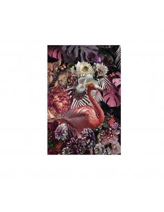 Photo 80x120 - SCHULLER...