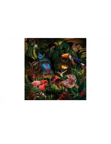 Photography 100X100 - SCHULLER Selvatica