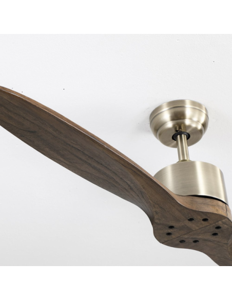 Photo Fan Dc Leste Leather 2 Blades Oak Without Light 5 Speeds Remote Timer 132d