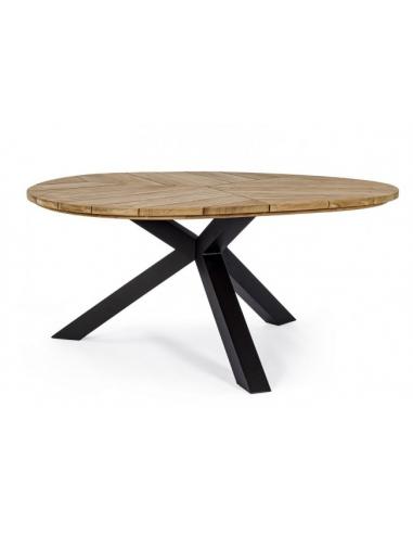 Table 160 carbon rt02 - BIZZOTTO palmdale