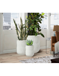 White Set 51Ø - Jasmine