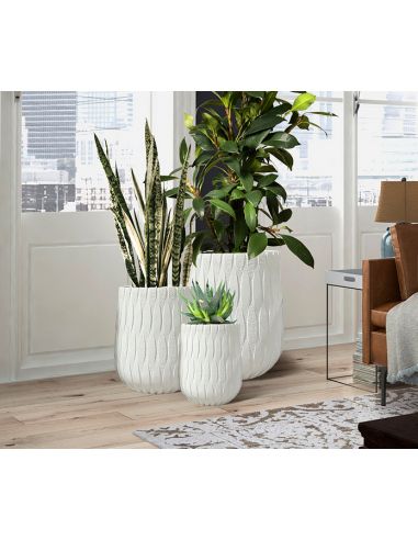 Set Blanco 51Ø - Jazmín