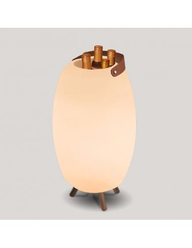 Illuminated wine rack with Apolo speaker