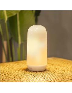 Portable bulb with flame effect CANDY