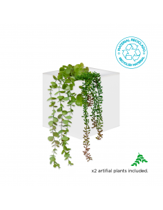 Macetero de pared Wally Pot