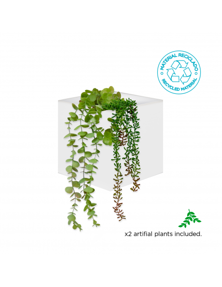 Wally Pot wall planter