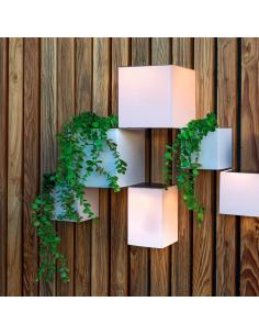 Macetero de pared Wally Pot 2