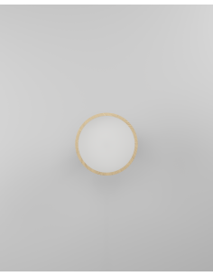 CeilingFan with light White - MALPICA 2