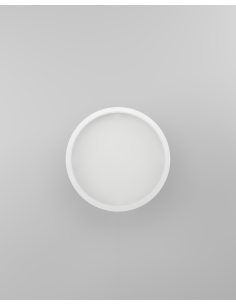 CeilingFan with light White - MALPICA 2