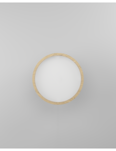 CeilingFan with light White - MALPICA 2