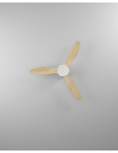 Ventilador de techo con luz Blanco - BARACARÈS 2