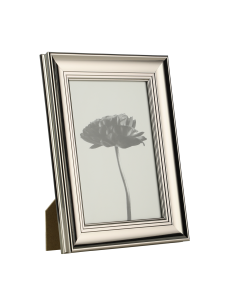 RENABIE Chrome Frame