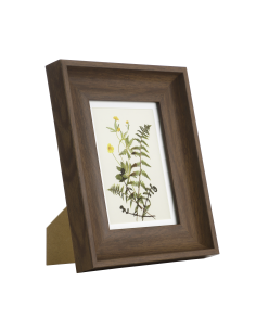 RENABIE Dark brown frame