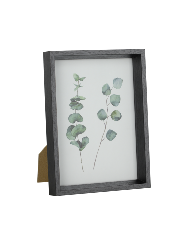 RENABIE Black Frame