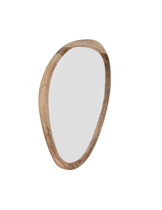 BANI Nature Mirror
