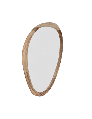BANI Nature Mirror