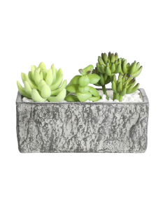 CHITOSE Planta artificial