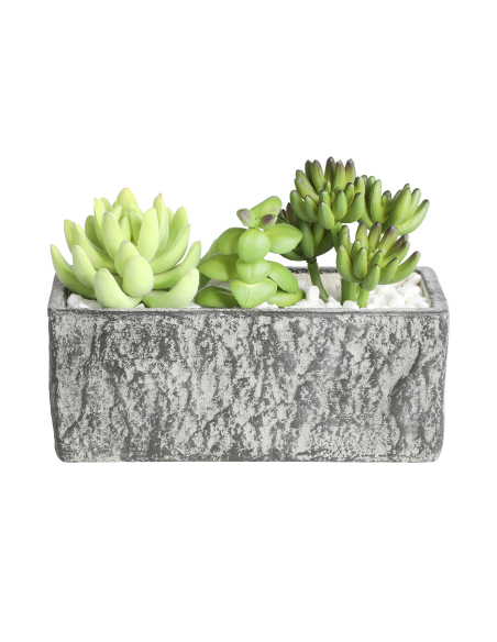 CHITOSE Planta artificial