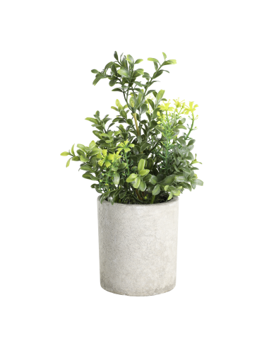 CHITOSE Planta artificial café verde