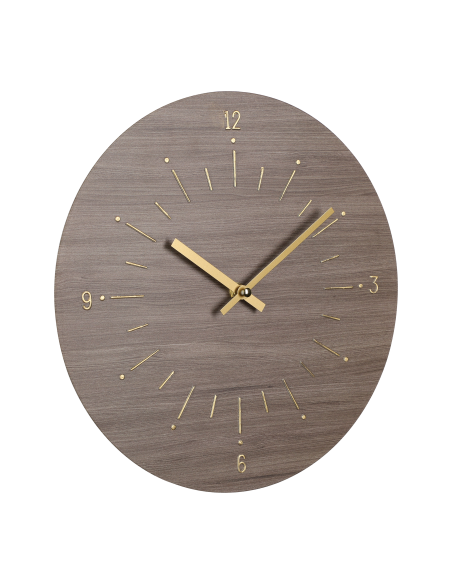 TAKAHAGI Gold Brown Watch