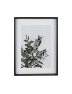 RENABIE Black Frame 2